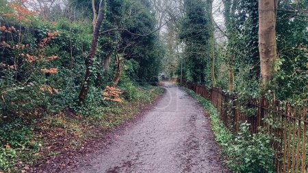 Photo for Worsley woods path in Salford leading down to Worsley high street - Royalty Free Image