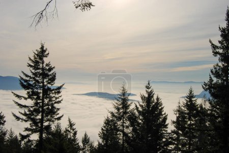 Téléchargez les photos : Belle vue depuis un belvédère sur un nuage et une vallée remplie de brouillard en Colombie-Britannique - en image libre de droit