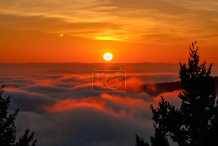 Téléchargez les photos : Lever de soleil orange et doré sur une vallée remplie de brouillard à l'extrémité sud de l'île de Vancouver, en Colombie-Britannique - en image libre de droit