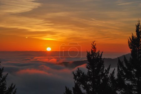Téléchargez les photos : Lever de soleil orange et doré sur une vallée remplie de brouillard à l'extrémité sud de l'île de Vancouver, en Colombie-Britannique - en image libre de droit