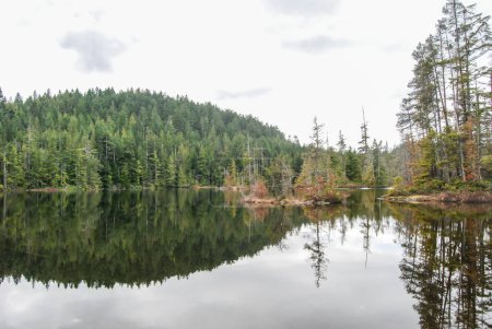 Photo for Forest reflections on a calm and remote lake on Vancouver Island - Royalty Free Image