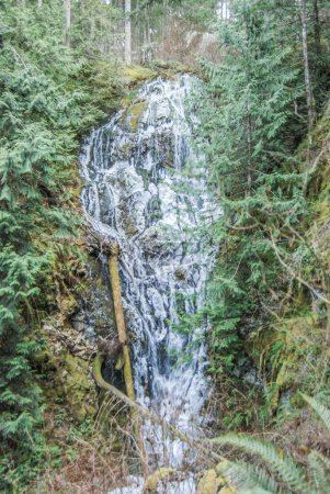 Téléchargez les photos : Une cascade gelée dans le parc provincial Gowland Todd, île de Vancouver (Colombie-Britannique) - en image libre de droit
