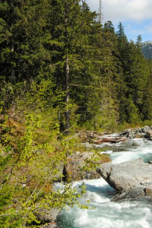 Foto de Un arroyo corriendo que fluye desde Della Falls en Strathcona Provincial Park, Vancouver Island, BC, Canadá - Imagen libre de derechos