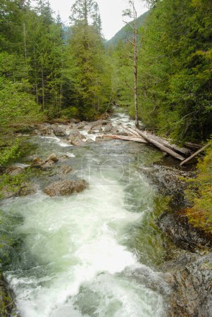 Foto de Un arroyo corriendo que fluye desde Della Falls en Strathcona Provincial Park, Vancouver Island, BC, Canadá - Imagen libre de derechos