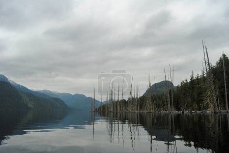 Téléchargez les photos : Une journée calme sur le Grand lac Central près de Port Alberni, île de Vancouver, C.-B., Canada - en image libre de droit