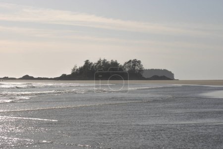 Téléchargez les photos : La mer brille au soleil alors qu'elle s'écrase sur une plage de sable près de Tofino, BC, Canada - en image libre de droit