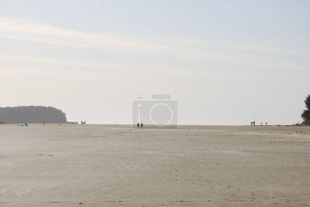 Téléchargez les photos : Les gens profitent d'une promenade sur une plage de sable fin au bord de l'océan à Tofino, BC, Canada - en image libre de droit