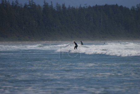 Téléchargez les photos : Les gens apprennent à surfer sur une plage de sable près de Tofino, BC, Canada - en image libre de droit