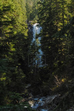 Téléchargez les photos : Vue sur la cascade à travers les arbres dans le parc provincial Strathcona, C.-B., Canada - en image libre de droit