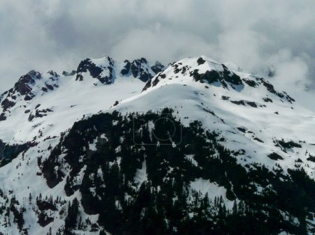 Téléchargez les photos : Montagnes enneigées du parc provincial Strathcona, île de Vancouver, Colombie-Britannique, Canada - en image libre de droit