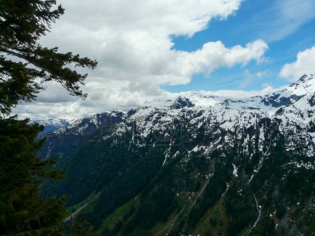 Photo for Snowy mountains of Strathcona Provincial Park, Vancouver Island, British Columbia, Canada - Royalty Free Image