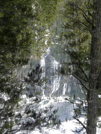 Téléchargez les photos : Chutes Della vues d'un point de vue plus élevé dans le parc provincial Strathcona, île de Vancouver, C.-B., Canada - en image libre de droit