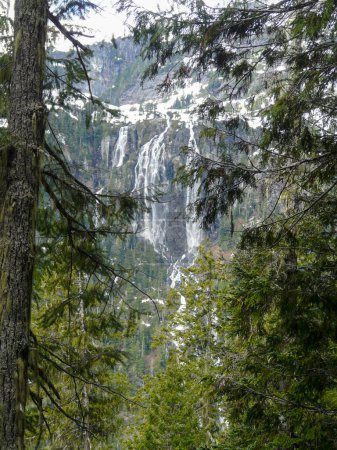 Téléchargez les photos : Chutes Della vues d'un point de vue plus élevé dans le parc provincial Strathcona, île de Vancouver, C.-B., Canada - en image libre de droit
