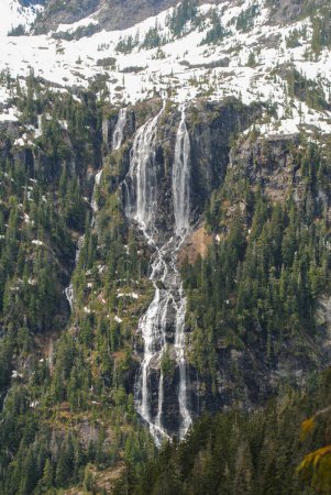 Téléchargez les photos : Les chutes Della sur l'île de Vancouver sont l'une des plus hautes chutes d'eau au Canada - en image libre de droit