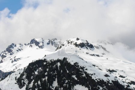 Téléchargez les photos : Montagnes enneigées du parc provincial Strathcona, île de Vancouver, Colombie-Britannique, Canada - en image libre de droit