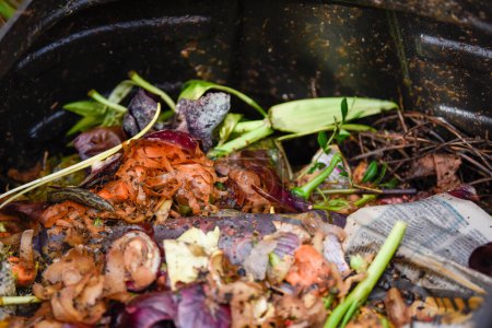 Photo for Food recycling bin to make compost from household food waste in a sustainable way - Royalty Free Image