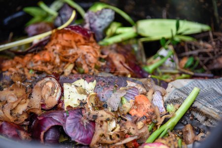 Foto de Papelera de reciclaje de alimentos para hacer compost a partir del desperdicio de alimentos domésticos de una manera sostenible - Imagen libre de derechos