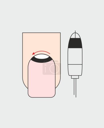 Illustration for Nails cutter instruction manual. Cutter manicure guide. Tutorial for nail artists - Royalty Free Image