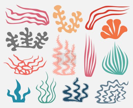 Korallen und Algen. Vektor Hand gezeichnet. Skizzieren Sie botanische Illustrationen. Unterwasserflora, Meerespflanzen. Zeilenkunst-Cliparts. Vintage-Pflanzen in rosa und blau.