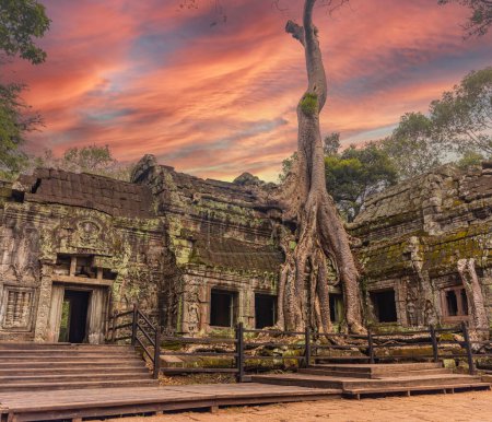 Foto de Las reliquias de la arquitectura jemer antigua, templo de Ta Prohm con sus árboles gigantes del banyan que son uno de los destinos turísticos más famosos. - Imagen libre de derechos