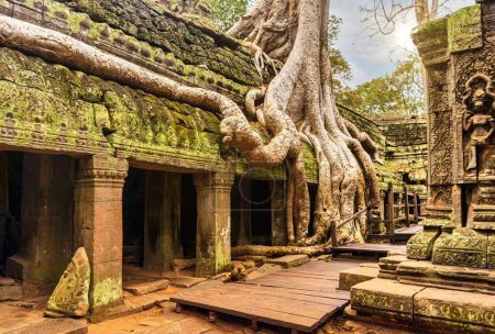 Photo for The famous and iconic Ta Prohm tempel, a popular travel destination known from the movie Tomb Rider.. - Royalty Free Image