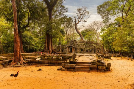 Foto de Ta Prohm templo, la ubicación de la película para Tomb Raider. - Imagen libre de derechos