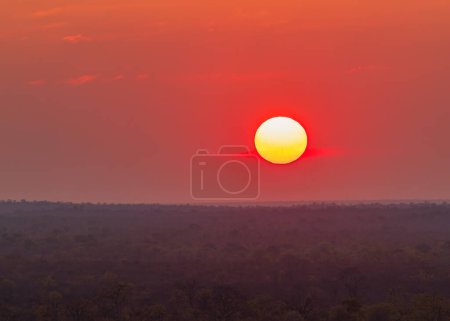 Photo for As the sun sets over Chobe National Park, the sky turns blood red and some sunspots become visible on the sun. - Royalty Free Image