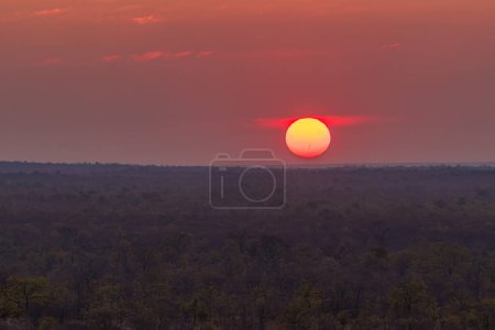 Photo for As the sun sets over Chobe National Park, the sky turns blood red and some sunspots become visible on the sun. - Royalty Free Image