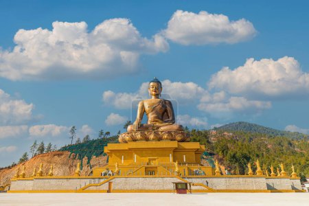 169 Fuß große bronzene Buddha-Statue, die tagsüber hell leuchtet