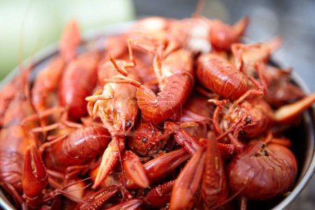 Photo for Pot of fresh red boiled freshwater crawdads or cray fish for a shellfish meal or starter in a close up selective focus view - Royalty Free Image