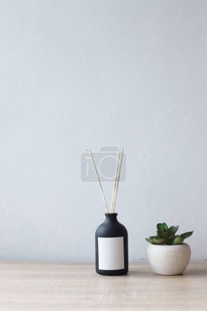 Foto de Habitación minimalista, planta en maceta, suculenta, flor de jarrón sobre fondo de pared vacío - Imagen libre de derechos
