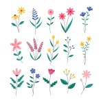 Various flower element flat design vector illustration set