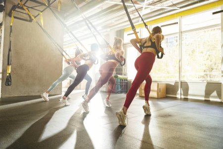 Photo for Group of fit women do resistance exercise TRX for training slim body pull. High quality photo - Royalty Free Image