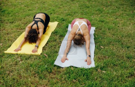 Téléchargez les photos : Des femmes souriantes en survêtement faisant des exercices d'étirement assis sur un tapis de fitness dans le parc - en image libre de droit