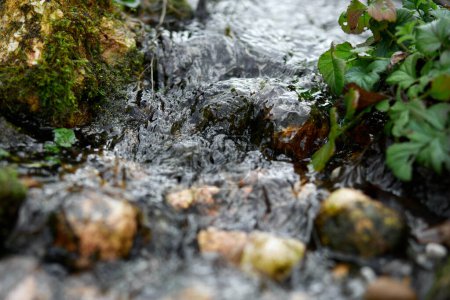 Pequeño chorro de agua natural que fluye sobre rocas musgosas