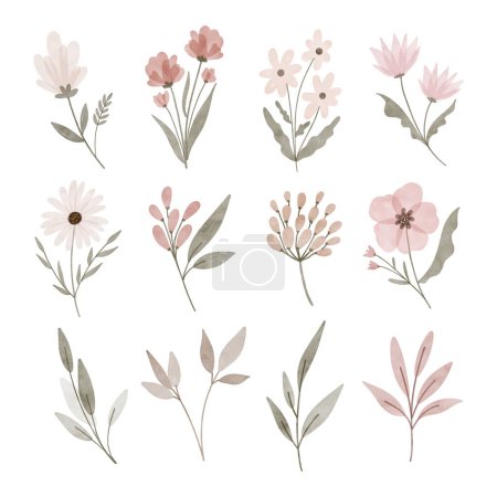 Téléchargez les illustrations : Ensemble vectoriel de fleurs florales dessinées à la main. - en licence libre de droit