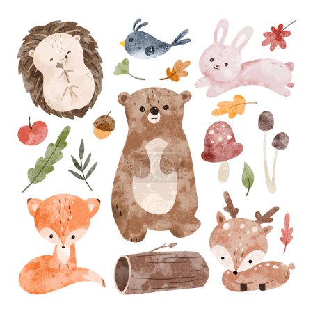 Téléchargez les illustrations : Ensemble d'illustration aquarelle d'animaux des bois mignons - en licence libre de droit