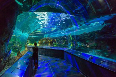 Toronto, ON, Canada - November 18, 2022: View at Toronto Aquarium's underwater scenic tunnels