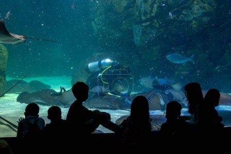 Photo for Toronto, ON, Canada - November 18, 2022: Silhouetted tourists watching a diver during an aquatic show at Ripley's Aquarium - Royalty Free Image