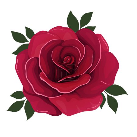 Illustration for Red rose cartoon, Vector illustration - Royalty Free Image