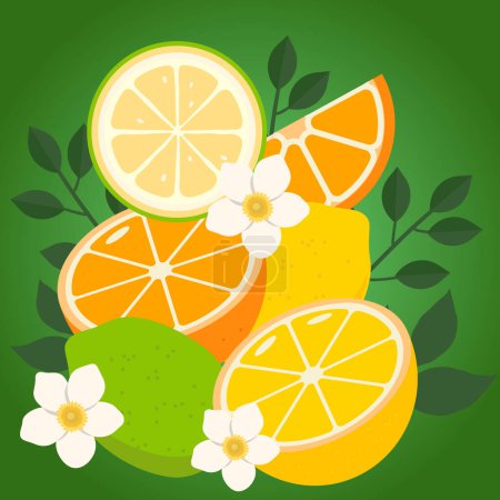 Illustration for Summer fruits mixed. Cute Citrus Fruits Lemon, Lime and Orange background in vivid tasty colors ideal for Fresh Lemonade - Royalty Free Image
