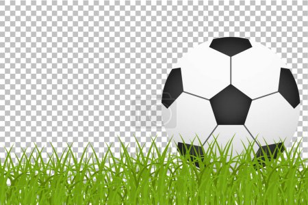 Football on the grass field on transparent background. Sports equipment concept