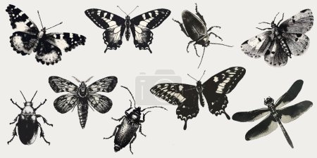 Illustration for Butterfly, beetle, caterpillar, dragonfly with a photocopy effect. Y2K style grit. Retro texture for dcor, collages of posters, banners, prints. - Royalty Free Image