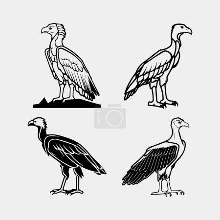 Téléchargez les illustrations : Ensemble de vautours noirs sur un fond blanc. Des animaux africains. Illustration vectorielle - en licence libre de droit