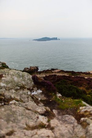 Photo for Cloudy day in Howth, Dublin, Ireland. Cliff walk. - Royalty Free Image