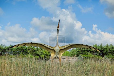 Foto de Parque de dinosaurios en Leba en el norte de Polonia en el Mar Báltico. - Imagen libre de derechos