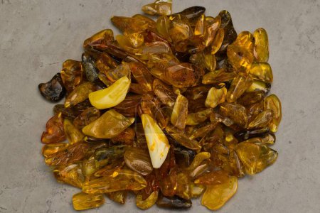 Photo for Natural, polished Baltic amber found on a beach in Kolobrzeg, Poland. Amber prepared for making pendants. - Royalty Free Image