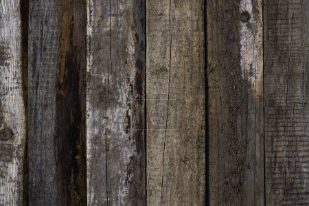 Photo for A captivating image featuring evenly arranged aged pine planks, showcasing a range of wood colors influenced by the elements: rain, sun, and wind. The symmetrical pattern is shot perpendicular to the boards, revealing their natural weathered beauty - Royalty Free Image