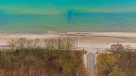 A drone shot captures Gaski beach in West Pomeranian Voivodeship, Poland. The image features the blue-green waters of the Baltic Sea, a vast sandy beach, and leafless trees on the dunes. Taken in February winter.