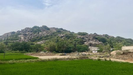 Foto de Montaña verde llena de rocas adyacentes a la zona agrícola - Imagen libre de derechos